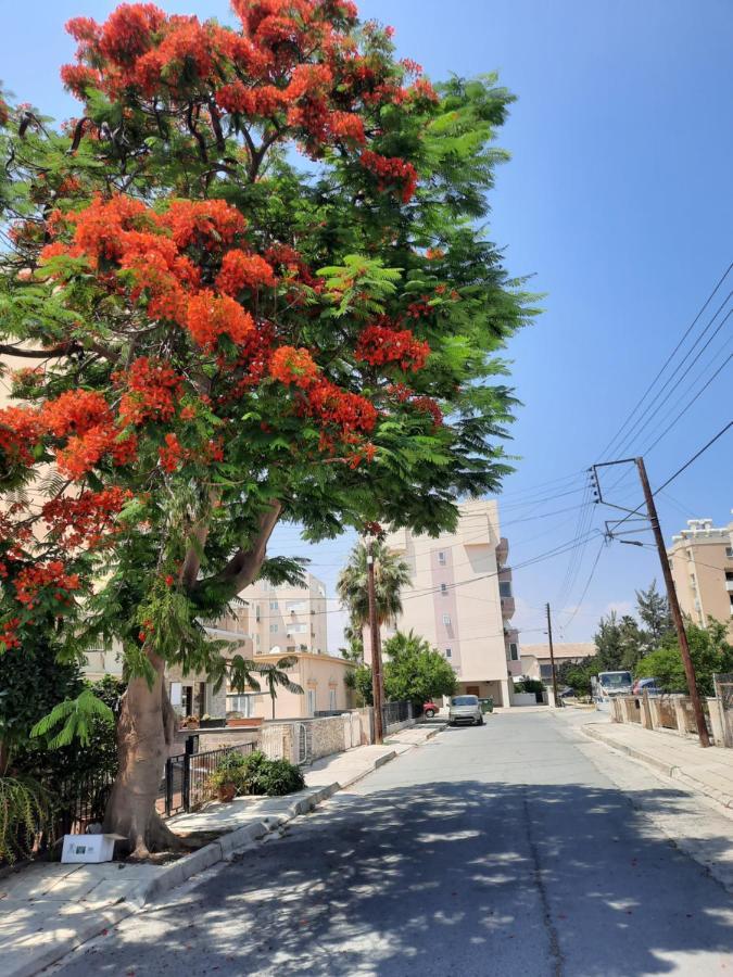 Large Apt 2 Bedrooms Sea View & 2 Balconies Larnaka Exterior foto